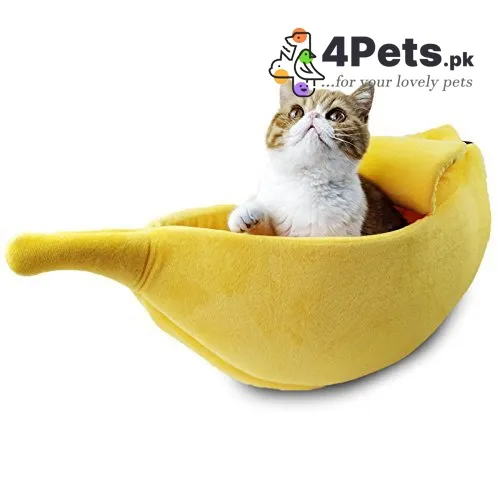 Banana Cat House Cum Bed