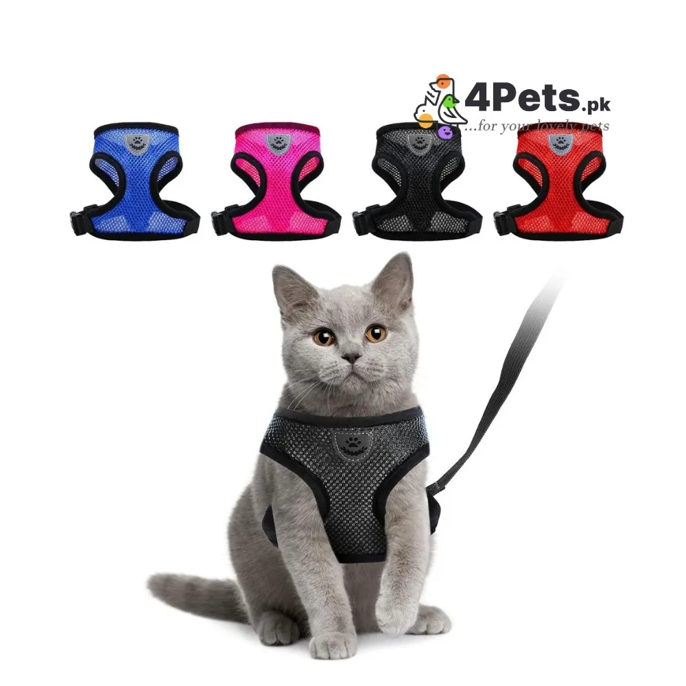 Breathable Pet Harness With Leash