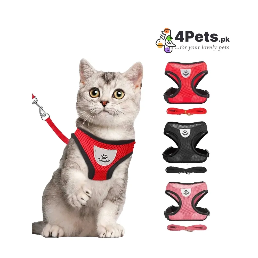 Best Price Breathable Pet Harness with Leash