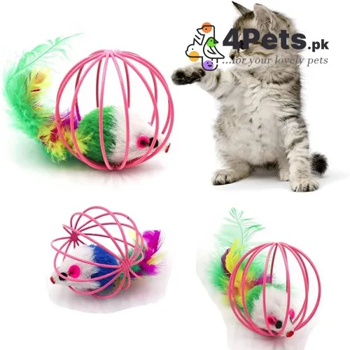 Best Price Cat Cage Mouse Toy