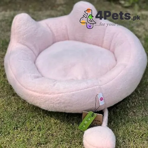 Best Price Cat Ear Bed with Tail
