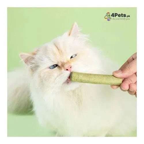 Cat Grass Teething Stick For Teeth And Hairballs