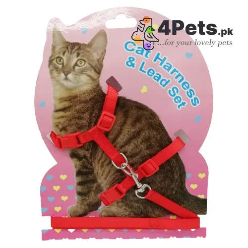 Best Price Cat Harness and Leash set