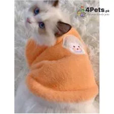 Best Price Winter Warm Plush Sweater for Cats 