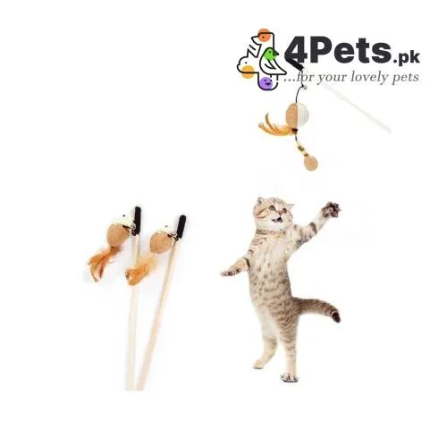 Teasing Wooden Stick With Toy