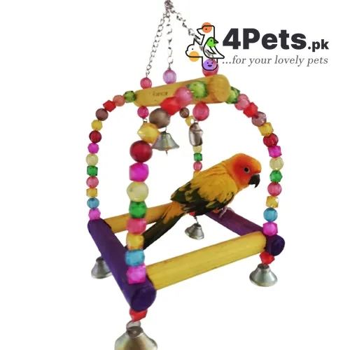 Best Price Parrot Toy Doli Small