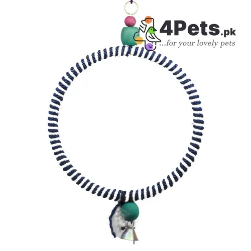 Best Price Parrot Toy Ring Swing Large