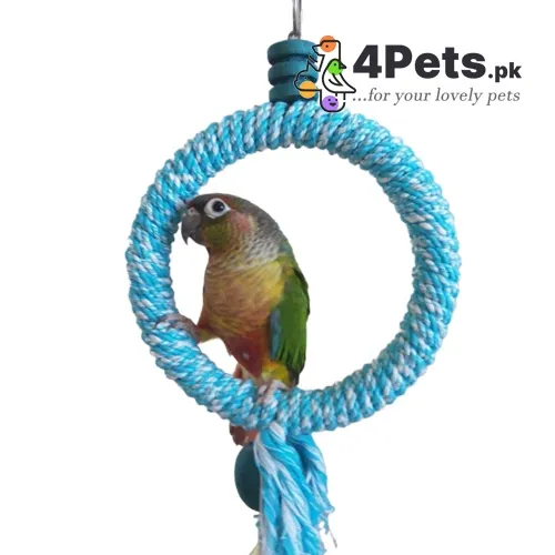 Best Price Parrot Toy Ring Swing Small