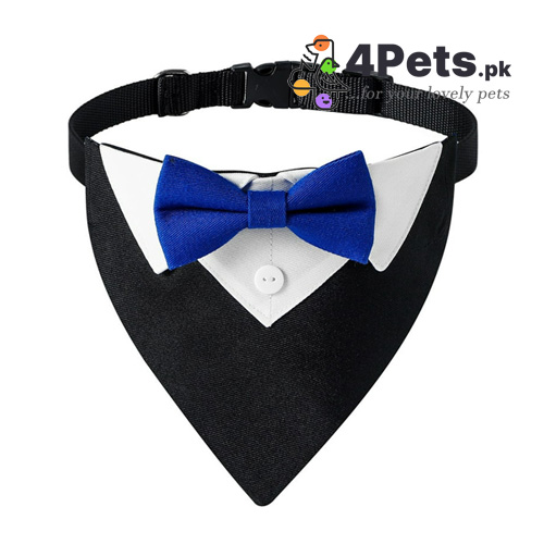 Best Price Pet Cat Dog Half Tuxedo
