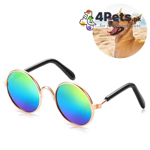 Best Price Pet Cat Dog Sun Glasses