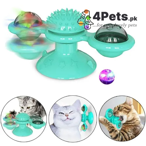 Best Price Rotate Windmill Cat Toy