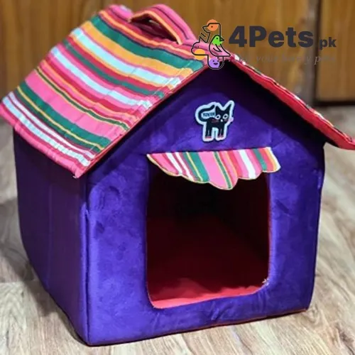 Best Price Velvet Cat Hut House